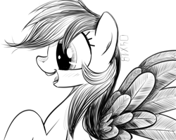 Size: 1280x1024 | Tagged: safe, artist:dsana, derpibooru import, rainbow dash, pegasus, pony, female, ink drawing, inktober, mare, monochrome, open mouth, raised hoof, simple background, sketch, smiling, solo, spread wings, traditional art, white background, wings
