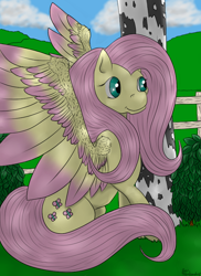 Size: 576x792 | Tagged: safe, artist:angelickingofthieves, fluttershy, pegasus, pony, female, mare, pink mane, solo, yellow coat