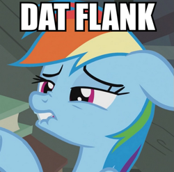 Size: 507x500 | Tagged: safe, derpibooru import, screencap, rainbow dash, pegasus, pony, dat butt, image macro, meme, solo