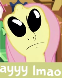 Size: 369x464 | Tagged: safe, edit, fluttershy, alien, pegasus, pony, alien eyes, ayy lmao, expand dong, exploitable meme, faic, gray, meme, nightmare fuel, not salmon, reaction image, solo, uma, void eyes, wat, what horrors have been unleashed