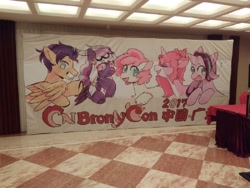 Size: 440x330 | Tagged: safe, flash sentry, starlight glimmer, oc, pony, china, china ponycon, guangzhou, irl, photo