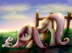 Size: 4334x3223 | Tagged: safe, artist:unilx, angel bunny, fluttershy, pegasus, pony, rabbit, female, mare, pet, pink mane, yellow coat