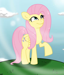 Size: 600x700 | Tagged: safe, artist:sonikku001, fluttershy, pegasus, pony, looking up, raised hoof, smiling, solo