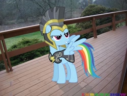 Size: 2832x2128 | Tagged: safe, artist:wolfgangthe3rd, derpibooru import, commander hurricane, rainbow dash, armor, forest, irl, outdoors, photo, ponies in real life, porch, shadow, solo, vector