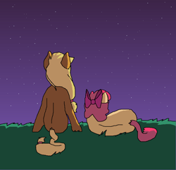 Size: 808x778 | Tagged: safe, artist:ponyboogers, apple bloom, applejack, earth pony, pony, night, stargazing