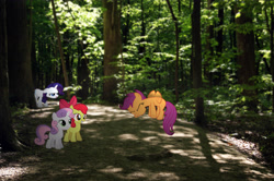 Size: 4592x3056 | Tagged: safe, artist:acer-rubrum, artist:hachaosagent, artist:hombre0, artist:lilcinnamon, artist:tigersoul96, apple bloom, rarity, scootaloo, sweetie belle, cutie mark crusaders, forest, irl, photo, ponies in real life, shadow, trying to fly, vector