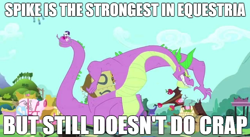 Size: 888x486 | Tagged: safe, edit, edited screencap, screencap, rarity, spike, dragon, pony, unicorn, secret of my excess, dragonball z abridged, i can see the future, image macro, meme, spikezilla