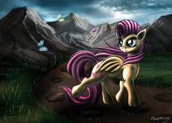 Size: 3500x2500 | Tagged: safe, artist:calebp1716, fluttershy, butterfly, pegasus, pony, dirt path, grass, mountain, scenery, solo