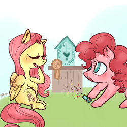 Size: 1000x1000 | Tagged: safe, artist:puffpink, fluttershy, pinkie pie, earth pony, pegasus, pony, hilarious in hindsight, newbie artist training grounds, party cannon, pocket party cannon