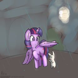 Size: 1000x1000 | Tagged: safe, artist:makoruu, derpibooru import, angel bunny, twilight sparkle, twilight sparkle (alicorn), alicorn, pony, female, mare, rain, wing umbrella