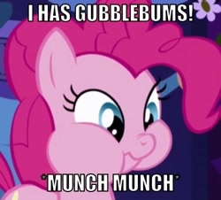 Size: 500x452 | Tagged: safe, screencap, pinkie pie, earth pony, pony, bubblegum, chewing, cute, eating, image macro, meme, munching, nose wrinkle, puffy cheeks, solo