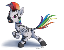 Size: 1500x1178 | Tagged: safe, artist:saine grey, derpibooru import, rainbow dash, pegasus, pony, zebra, colored, looking back, mohawk, simple background, solo, species swap, transformation, white background, zebrafied, zebrasus