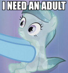 Size: 463x500 | Tagged: safe, derpibooru import, edit, edited screencap, screencap, rainbow dash, crystal pony, pegasus, pony, caption, cropped, dragonball z abridged, filly, glass slipper, hooves, i am an adult, i need an adult, image macro, meme, out of context, personal space invasion