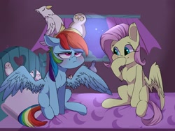 Size: 2800x2100 | Tagged: safe, artist:passigcamel, derpibooru import, fluttershy, rainbow dash, bird, owl, parrot, pegasus, pigeon, pony, bed, blushing, cockatiel, duo, female, finch, indoors, java sparrow, mare, on bed, rainbow dash is best facemaker, rainbow dash is not amused, sitting, sitting on head, smiling, spread wings, unamused, varying degrees of amusement, wings, zebra finch