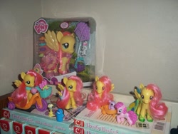 Size: 900x675 | Tagged: safe, fluttershy, pinkie pie, earth pony, pegasus, pony, blind bag, brushable, collection, shrine, toy