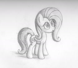 Size: 2154x1874 | Tagged: safe, artist:bugplayer, fluttershy, pegasus, pony, female, grayscale, mare, monochrome, pencil drawing, puzzled, solo, traditional art