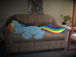 Size: 640x480 | Tagged: safe, artist:destructodash, artist:fabulouspony, derpibooru import, rainbow dash, irl, photo, plant, ponies in real life, poster, shadow, sleeping, sofa, solo, vector