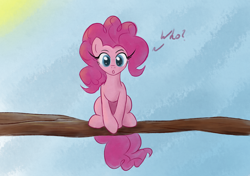 Size: 1422x1000 | Tagged: safe, artist:scootiebloom, pinkie pie, earth pony, pony, female, mare, pink coat, pink mane, solo, tree branch
