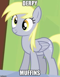 Size: 500x634 | Tagged: safe, edit, edited screencap, screencap, derpy hooves, rainbow falls, cropped, cute, food, muffin, solo