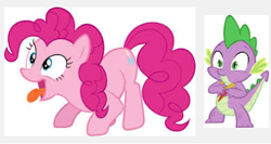 Size: 381x203 | Tagged: safe, pinkie pie, spike, dragon, earth pony, pony, exploitable meme, female, google images, google search, juxtaposition, juxtaposition win, male, meme, meta, pinkiespike, shipping, straight