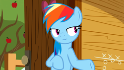 Size: 1920x1080 | Tagged: safe, derpibooru import, screencap, rainbow dash, pegasus, pony, the washouts (episode), apple tree, clubhouse, crusaders clubhouse, door, solo, tic tac toe, tree