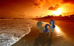 Size: 2880x1800 | Tagged: safe, applejack, rarity, beach, female, irl, lesbian, ocean, palm tree, photo, photoshop, ponies in real life, rarijack, sand, shipping, sunset, wallpaper