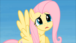 Size: 1920x1080 | Tagged: safe, screencap, fluttershy, pegasus, pony, rainbow falls, season 4, solo