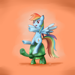 Size: 5000x5000 | Tagged: safe, artist:instant-noodle5, derpibooru import, rainbow dash, tank, pegasus, pony, absurd resolution, ponies riding turtles