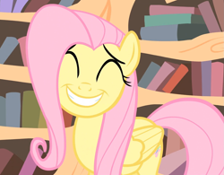 Size: 1381x1077 | Tagged: safe, screencap, fluttershy, pegasus, pony, three's a crowd, smiling, solo