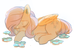 Size: 846x565 | Tagged: safe, artist:mewball, fluttershy, pegasus, pony, female, mare, sleeping, solo