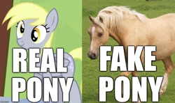 Size: 1058x626 | Tagged: safe, editor:useraccount, screencap, derpy hooves, blatant lies, fake pony, image macro, irl, irl horse, irl pony, meme, photo, real pony