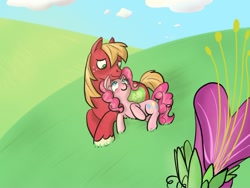 Size: 748x563 | Tagged: safe, artist:shanny-bananie, artist:sweetsrmything, big macintosh, pinkie pie, earth pony, pony, flower, male, pinkiemac, shipping, stallion, straight