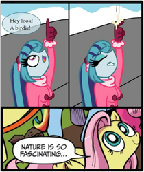 Size: 397x473 | Tagged: safe, fluttershy, sonata dusk, pegasus, pony, a dazzling winter, blue coat, blue eyes, dialogue, exploitable meme, female, looking up, mare, meme, multicolored tail, nature is so fascinating, pink coat, pink mane, poop, smiling, speech bubble, wings, yellow coat