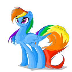 Size: 2750x2750 | Tagged: safe, artist:asimplerarity, derpibooru import, rainbow dash, pegasus, pony, backwards cutie mark, chest fluff, simple background, smiling, solo