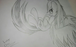 Size: 1024x637 | Tagged: safe, artist:envygirl95, derpibooru import, rainbow dash, pegasus, pony, monochrome, solo, traditional art