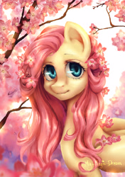 Size: 2345x3339 | Tagged: safe, artist:my-magic-dream, fluttershy, pegasus, pony, cherry blossoms, cherry tree, flower, pixiv, solo, tree