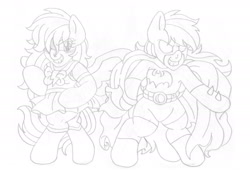 Size: 2372x1629 | Tagged: safe, artist:blackbewhite2k7, derpibooru import, rainbow dash, pegasus, pony, back to back, batman, batmare, bipedal, cape, clothes, commission, crossover, monochrome, sailor loyalty, sailor scout, sketch, tumblr crossover