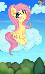 Size: 1350x2200 | Tagged: safe, artist:freefraq, derpibooru import, fluttershy, rainbow dash, pegasus, pony, cloud, cute, duo, female, mare, shyabetes, sitting, sitting on cloud, sneaky