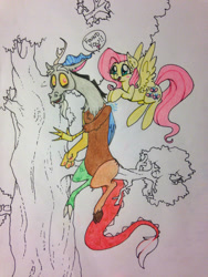 Size: 1224x1632 | Tagged: safe, artist:ameliacostanza, discord, fluttershy, pegasus, pony, discoshy, female, male, shipping, straight, traditional art, tree