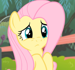 Size: 1157x1075 | Tagged: safe, screencap, fluttershy, pegasus, pony, filli vanilli, reaction image, solo