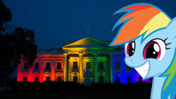 Size: 992x558 | Tagged: safe, derpibooru import, rainbow dash, gay pride, happy, irl, lovewins, murica, photo, ponies in real life, pride, rainbow, smiling, united states, white house