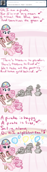 Size: 500x1800 | Tagged: safe, artist:alipes, madame leflour, pinkie pie, rocky, sir lintsalot, earth pony, pony, ask, ask pinkie pierate, banjo, clothes, comic, musical instrument, pirate, singing, tumblr