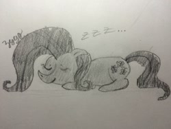 Size: 1632x1224 | Tagged: safe, artist:zygg, fluttershy, pegasus, pony, cute, monochrome, sleeping, solo, traditional art