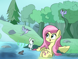 Size: 4000x3000 | Tagged: safe, artist:wadusher0, angel bunny, fluttershy, bird, fish, hummingbird, pegasus, pony, rabbit, animal, cute, female, fluffy, forest, frown, hoof fluff, mare, nature, open mouth, outdoors, river, scenery, shyabetes, sitting, smiling, solo, spread wings, tree, unshorn fetlocks, water, wide eyes, wing fluff, wings