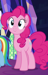 Size: 328x508 | Tagged: safe, derpibooru import, screencap, pinkie pie, rainbow dash, earth pony, pony, equestria girls, rainbow rocks, cropped, cute, diapinkes, female, offscreen character, smiling, solo focus