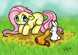 Size: 507x364 | Tagged: safe, artist:veritasket, angel bunny, fluttershy, pegasus, pony, clothes, socks