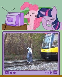 Size: 600x750 | Tagged: safe, derpibooru import, pinkie pie, twilight sparkle, human, exploitable meme, facehoof, fail, gandalf, irl, irl human, laughing, lord of the rings, meme, mixed reactions, obligatory pony, photo, poland, stupidity, train, tv meme, wizard, you shall not pass, youtube link