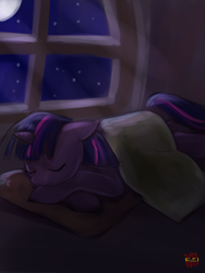 Size: 600x800 | Tagged: safe, artist:norang94, derpibooru import, twilight sparkle, sleeping, solo