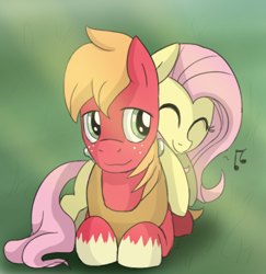 Size: 508x522 | Tagged: safe, artist:epicsquirrelgirl, big macintosh, fluttershy, earth pony, pegasus, pony, fluttermac, male, shipping, stallion, straight