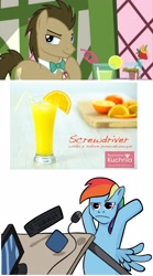 Size: 1056x1904 | Tagged: safe, derpibooru import, doctor whooves, rainbow dash, pegasus, pony, slice of life (episode), crazy straw, drink, larson you magnificent bastard, lemon, male, meta, orange, polish, pun, screwdriver, sonic screwdriver, stallion, strawberry, table flip